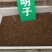 决明子种子、出芽率高达98%、签订合同包回收免费技术指导