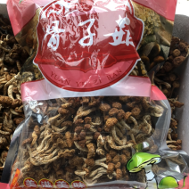 滑菇滑子菇干食用菌干品未开伞