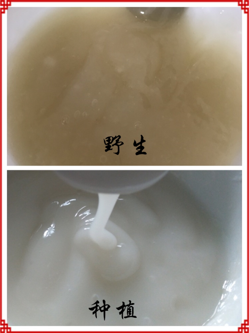 野生葛根粉葛粉只卖真葛根粉，假葛粉本店没有