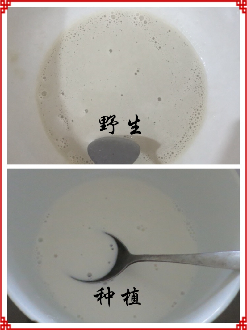 野生葛根粉葛粉只卖真葛根粉，假葛粉本店没有