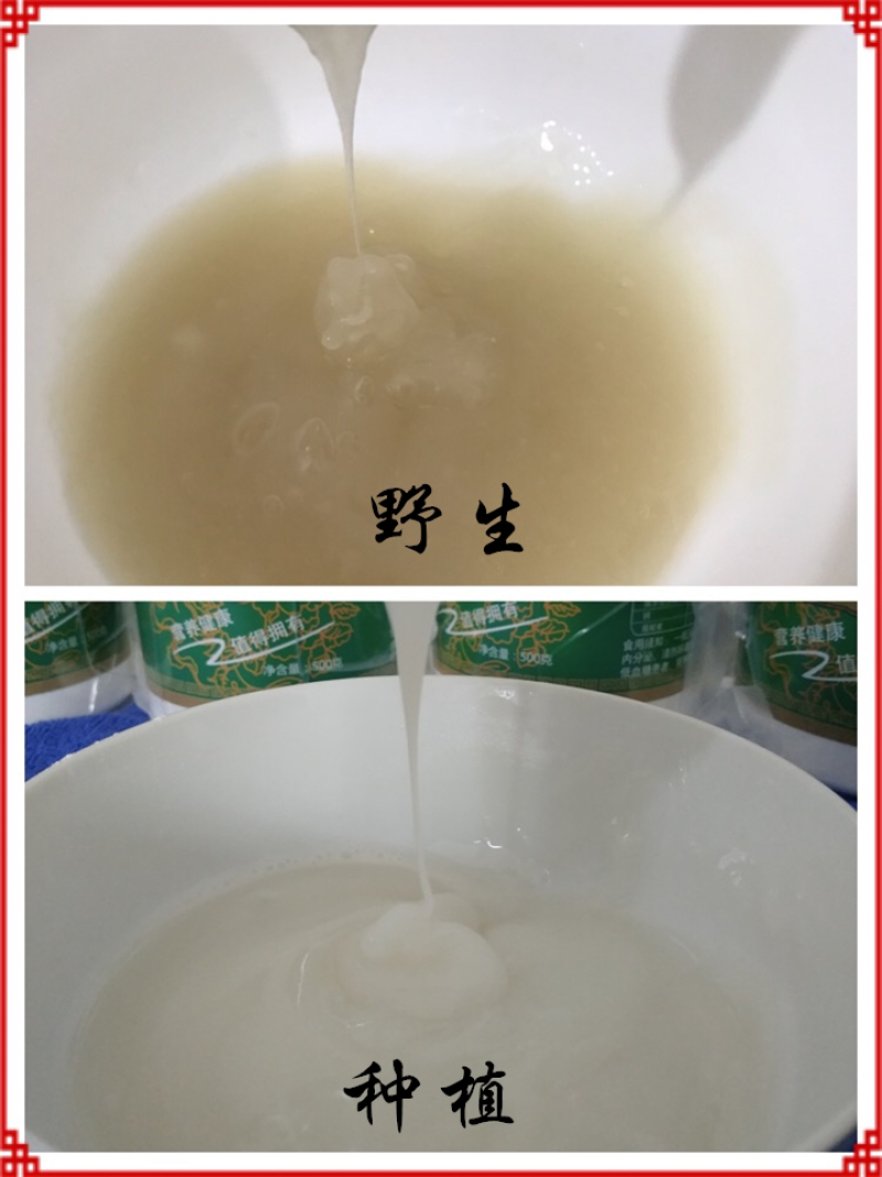 野生葛根粉葛粉只卖真葛根粉，假葛粉本店没有