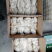 全熟精品羊肚五斤一包一件二十斤