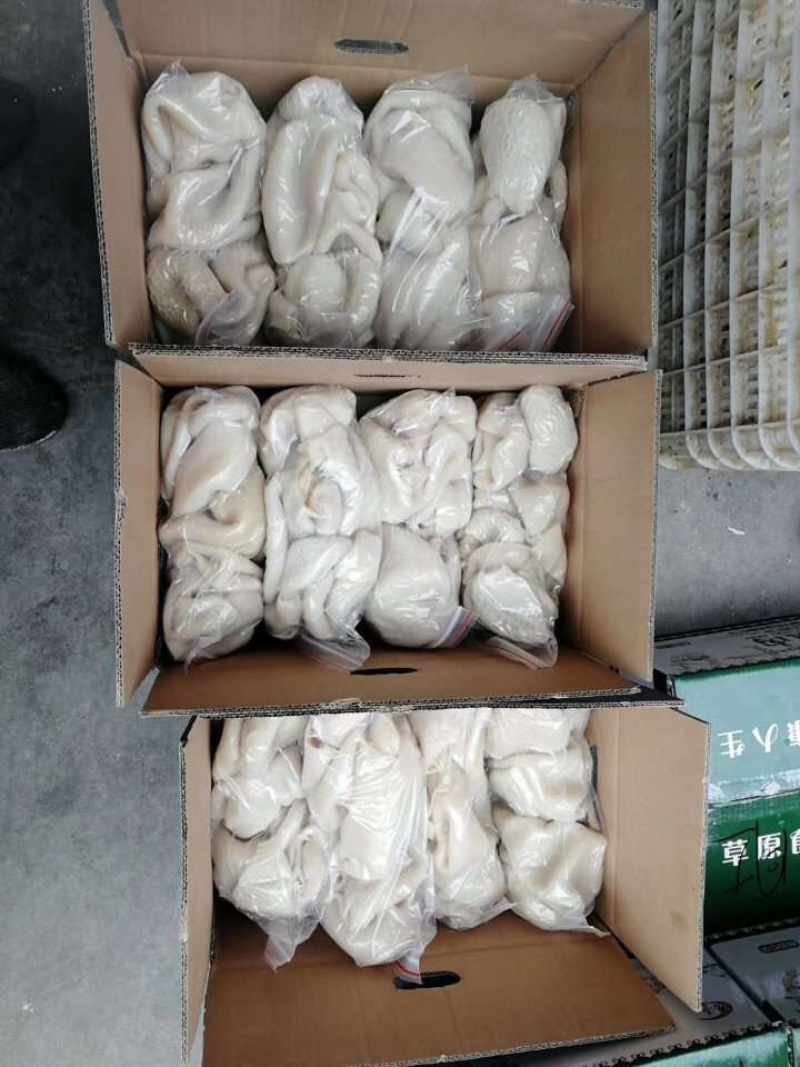 全熟精品羊肚五斤一包一件二十斤