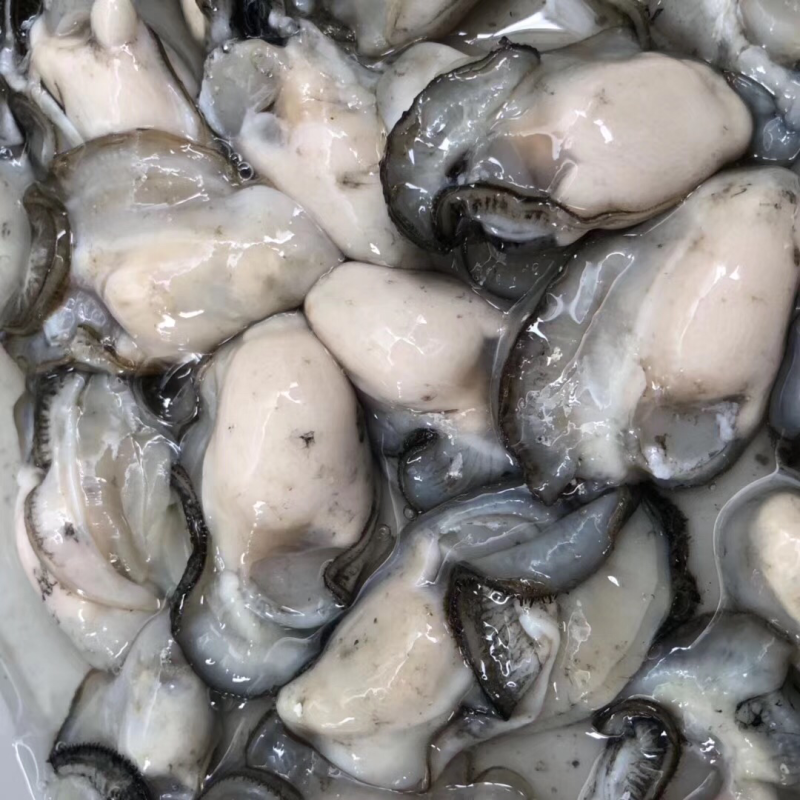 牡蛎肉，生蚝肉大量批发一件起批
