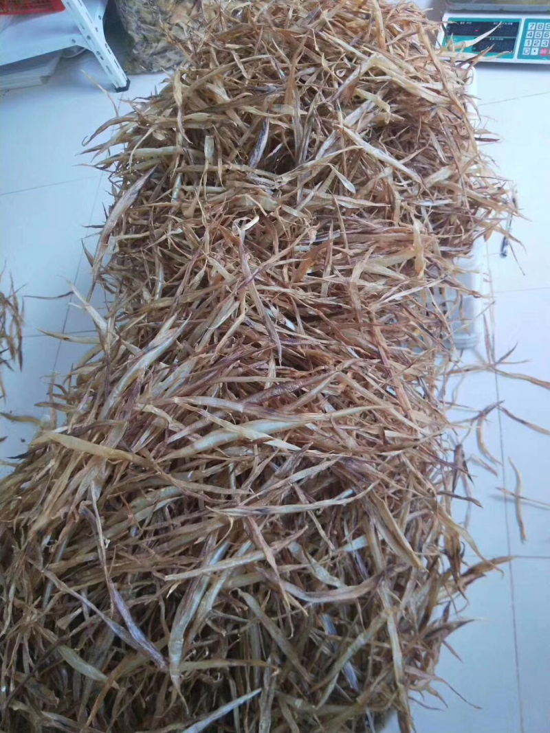 天然鳗鱼胶