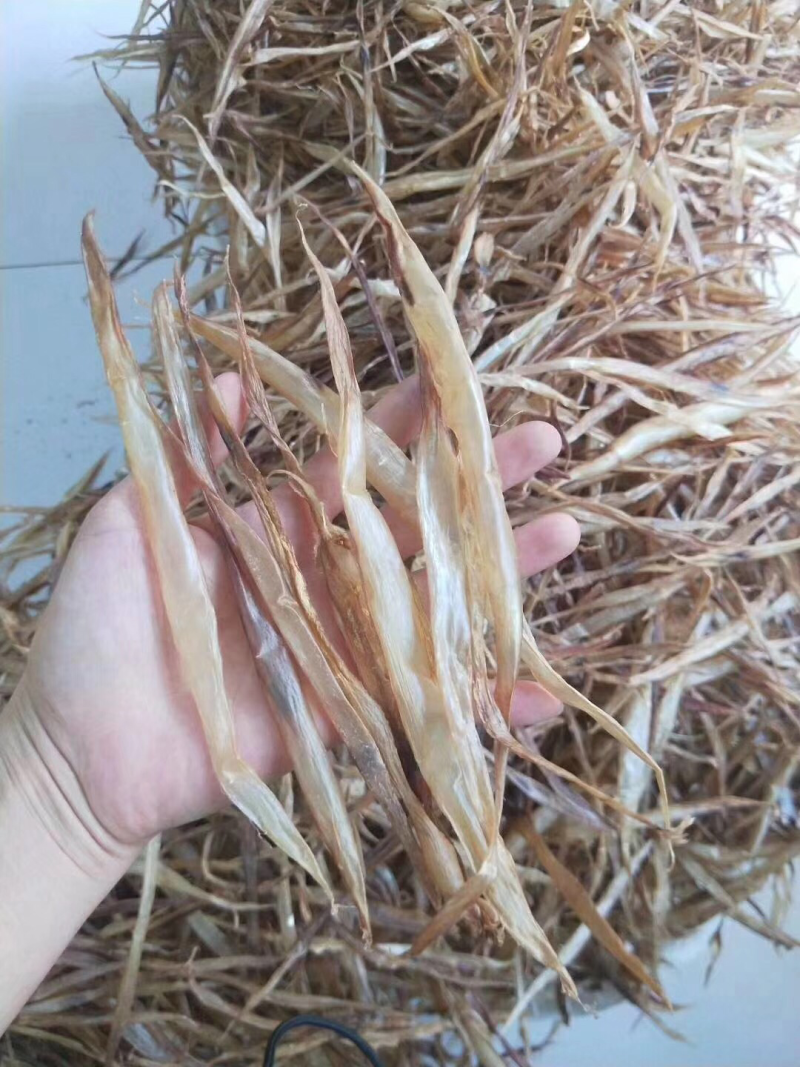 天然鳗鱼胶