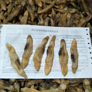 圣子螺肉干