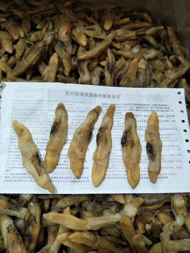 圣子螺肉干