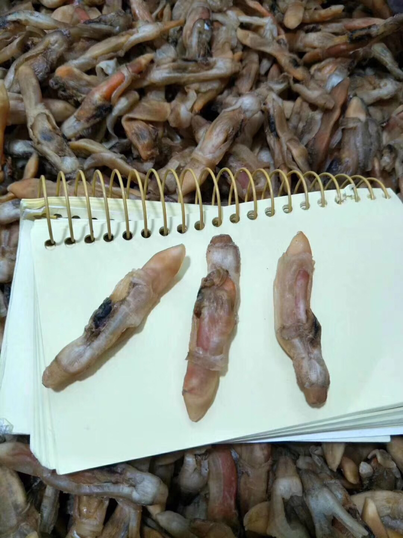 圣子螺肉干