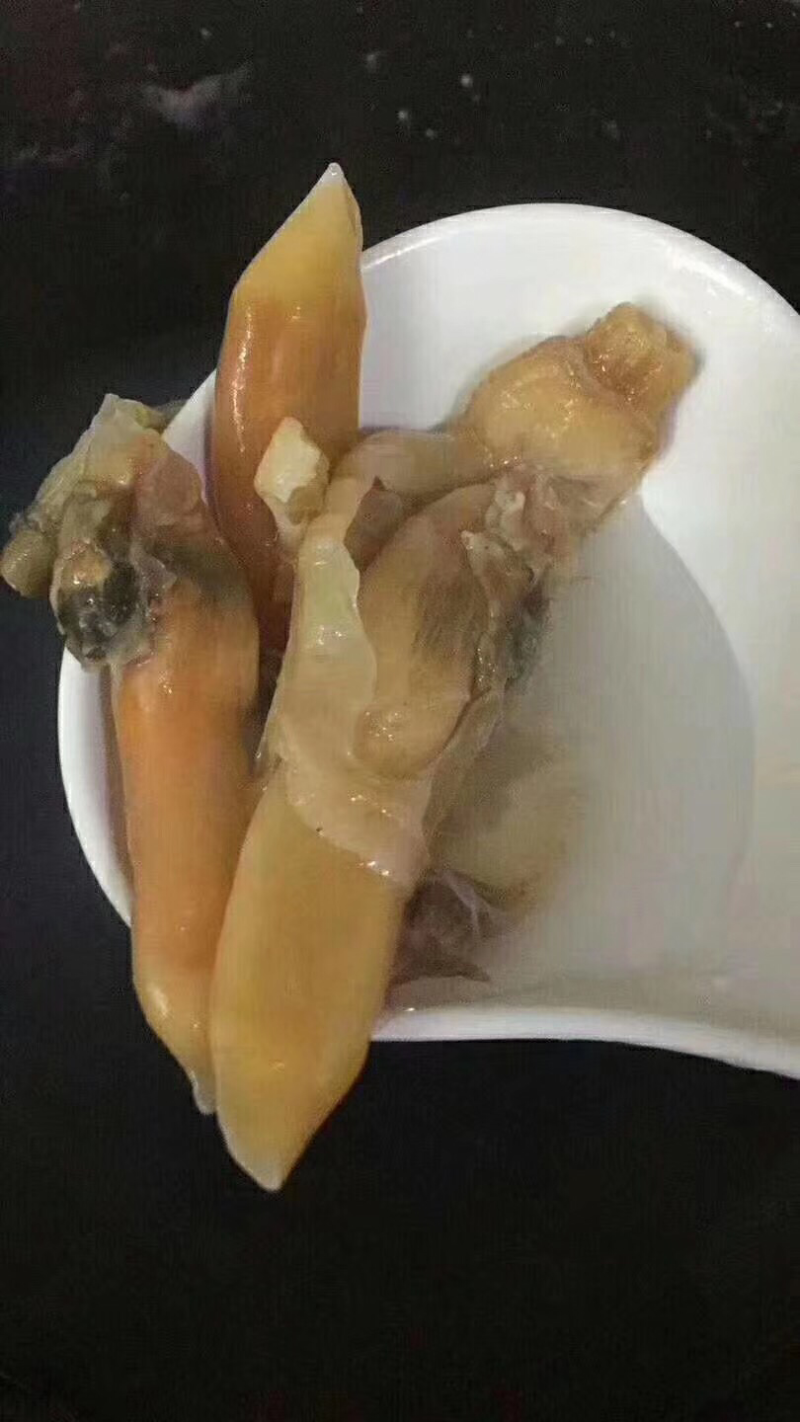 圣子螺肉干