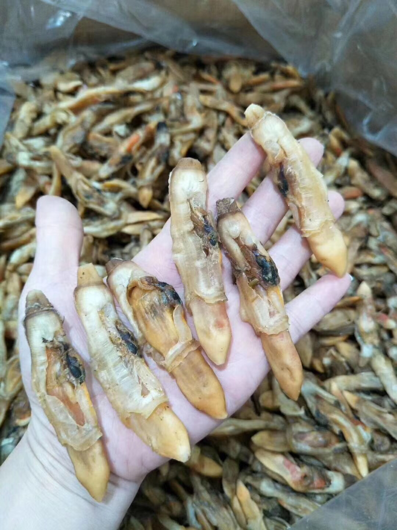 圣子螺肉干