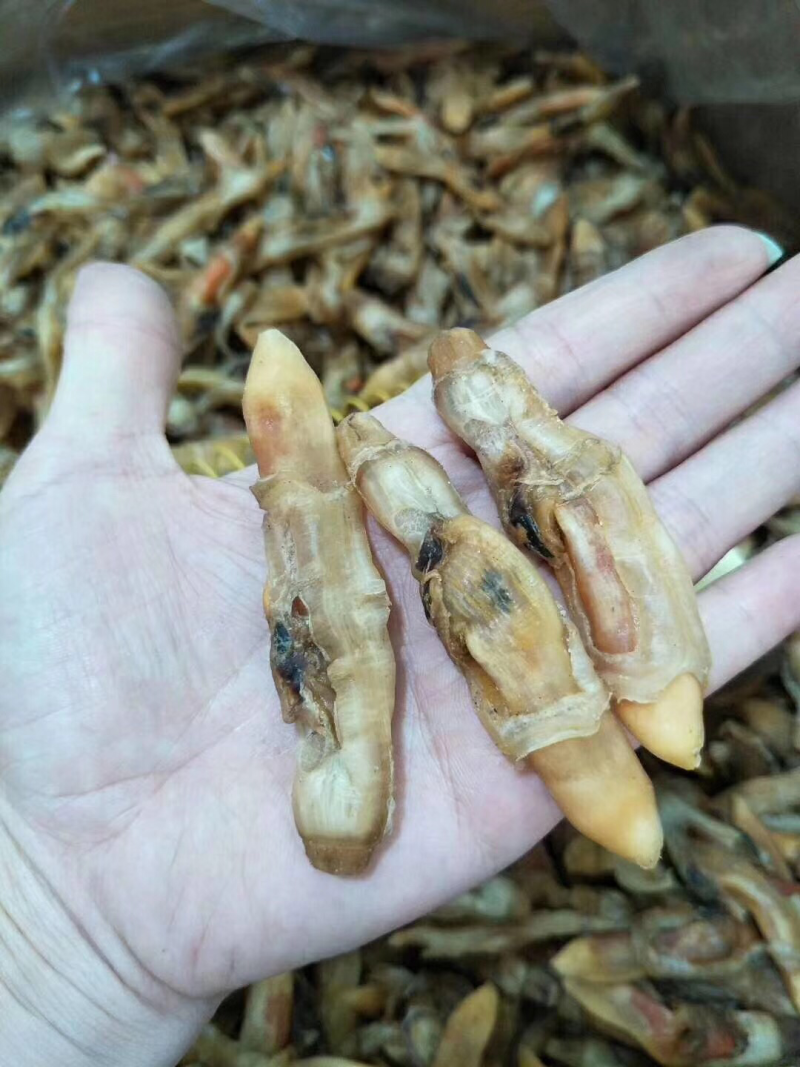 圣子螺肉干