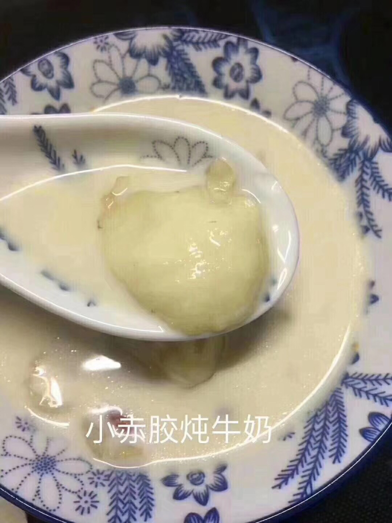 小赤鱼胶