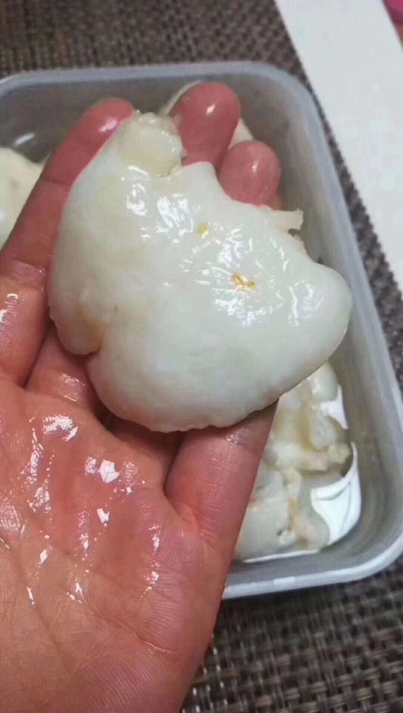 小赤鱼胶