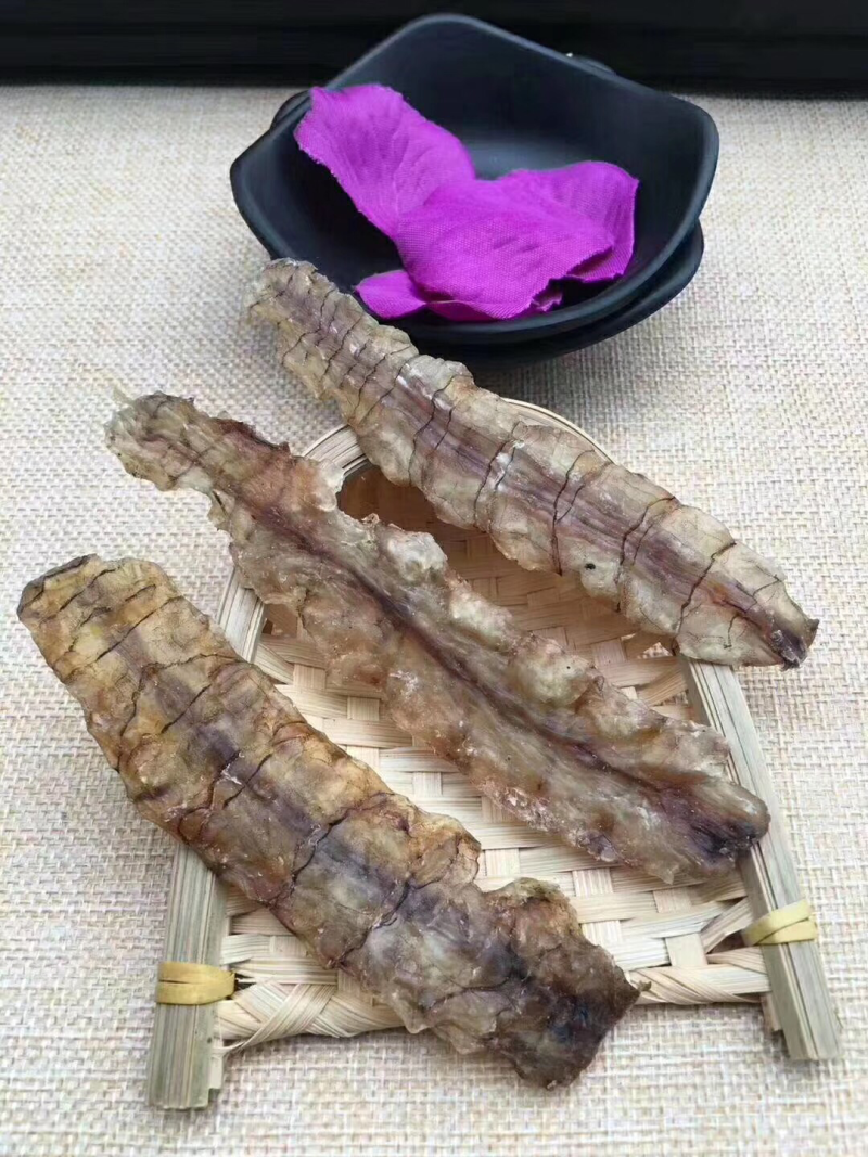 皮皮虾