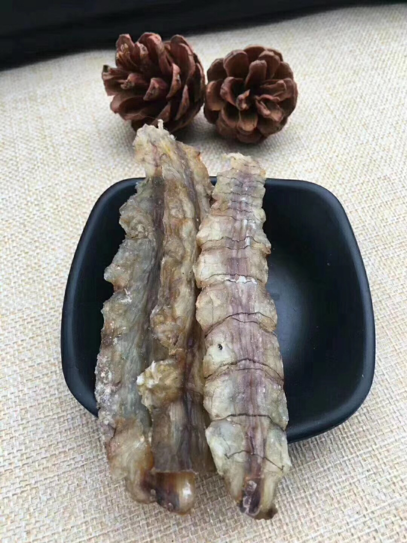 皮皮虾