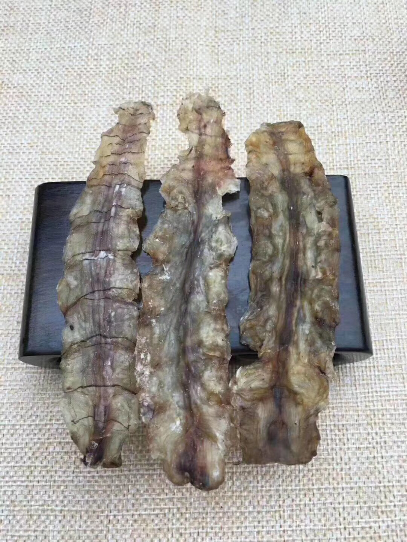皮皮虾