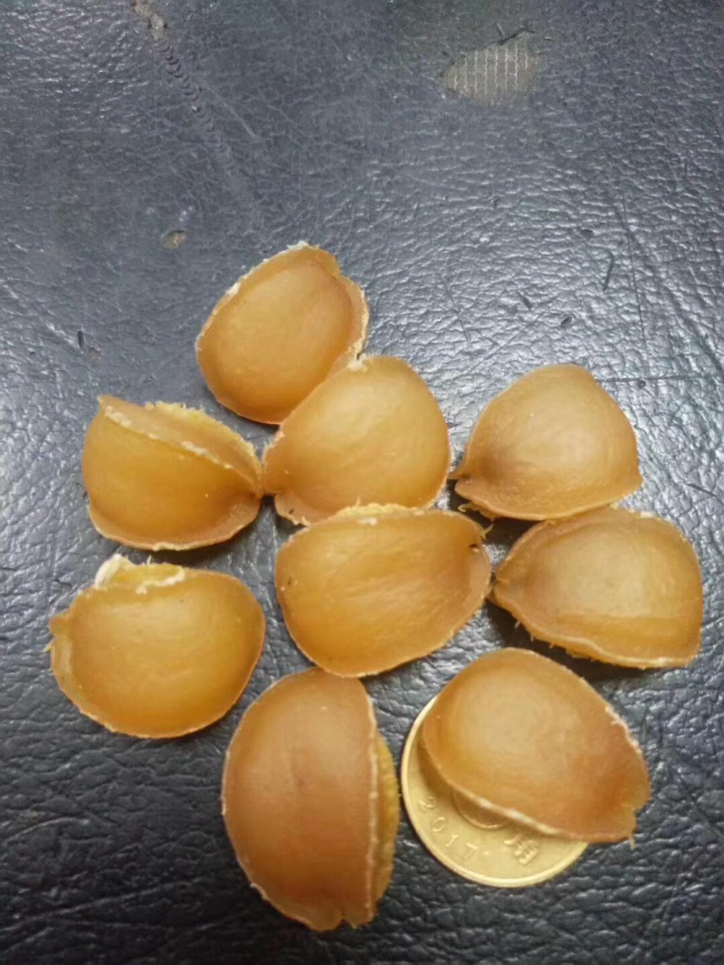 鲍鱼干