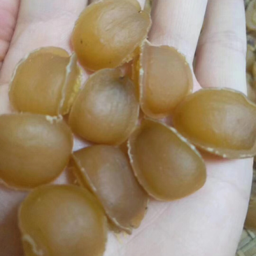 鲍鱼干
