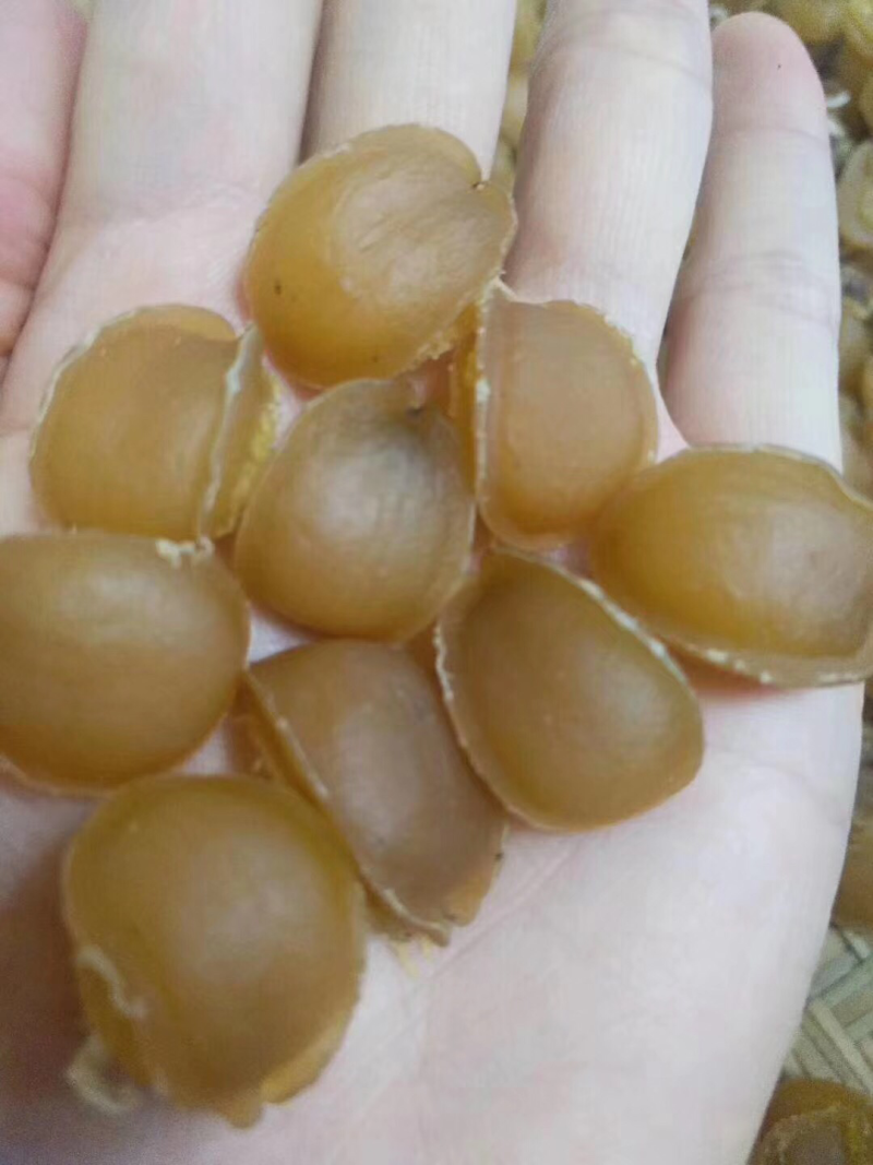 鲍鱼干