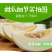 阎良甜瓜五斤包邮蜜瓜香瓜一件代发