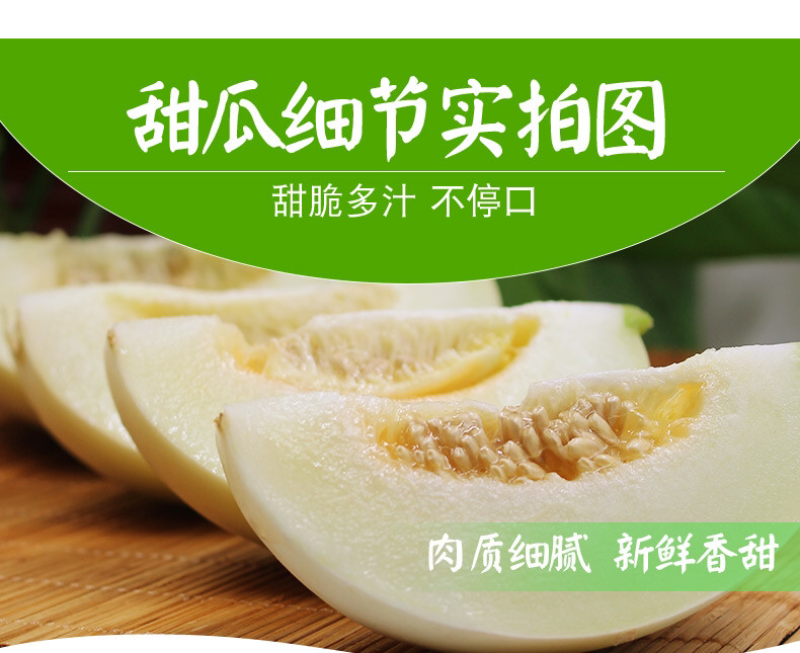 阎良甜瓜五斤包邮蜜瓜香瓜一件代发