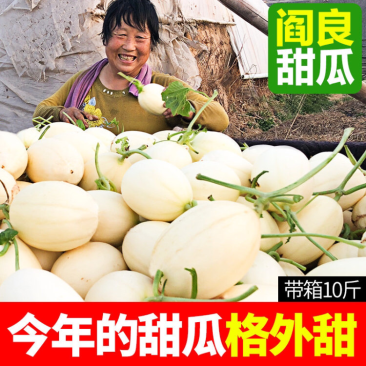 阎良甜瓜五斤包邮蜜瓜香瓜一件代发