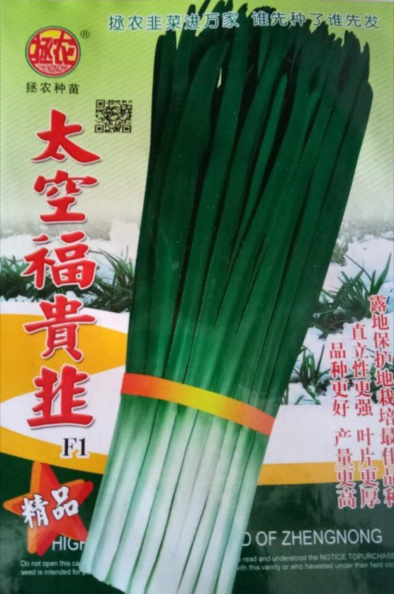 太空福贵韭