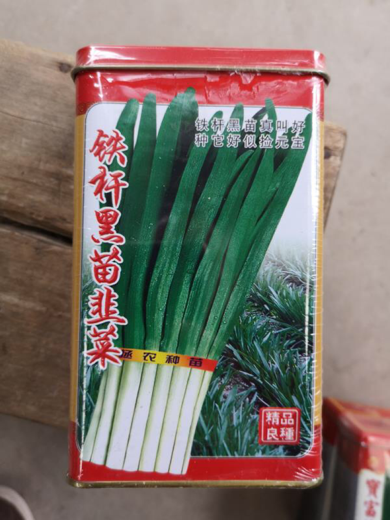 铁杆黑苗韭菜