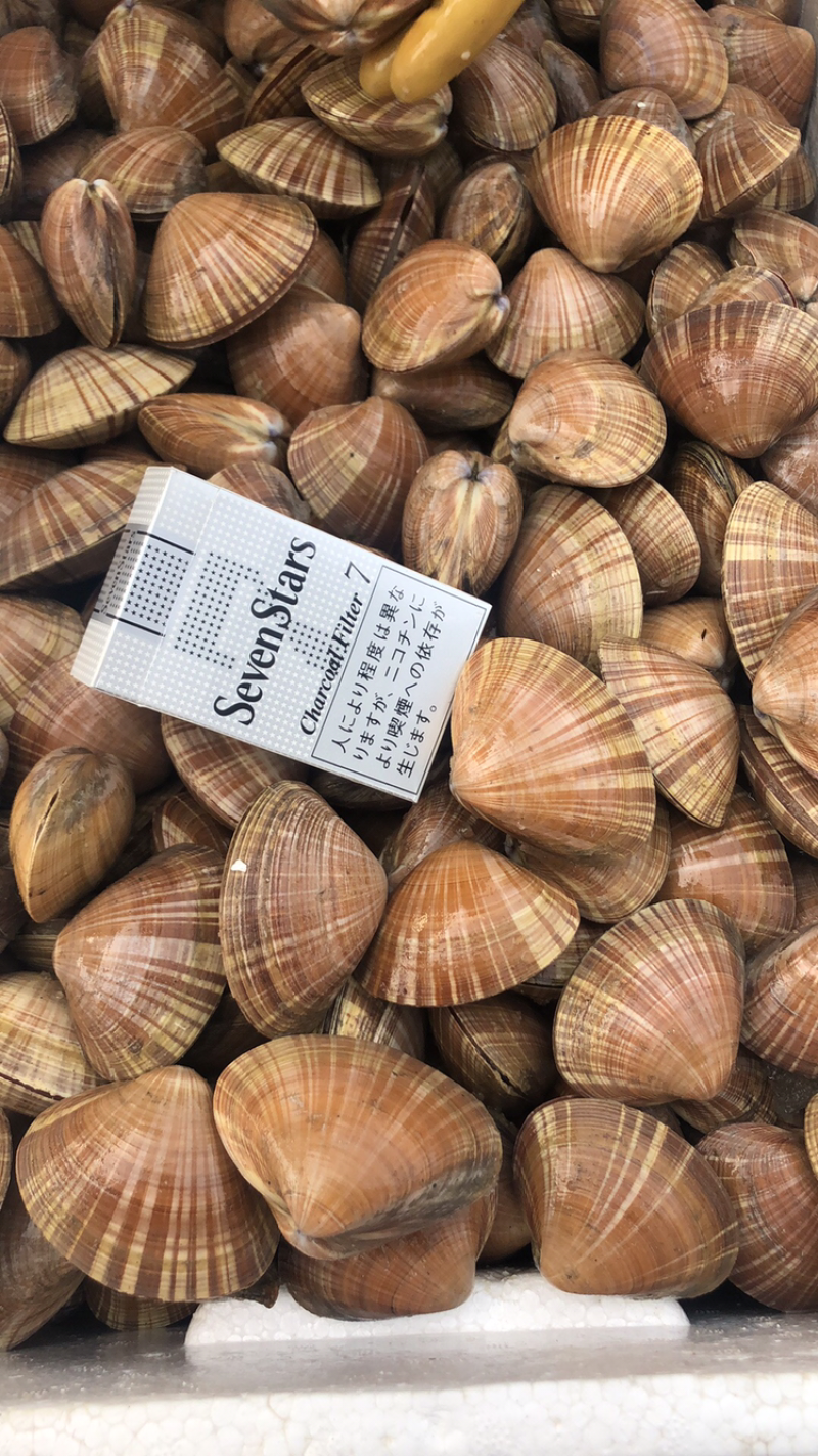 黄贝，文贝