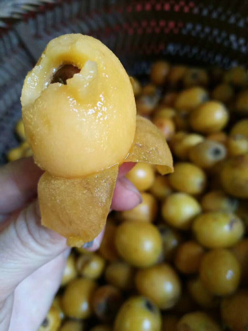 纯手工柴火🔥熬制枇杷膏