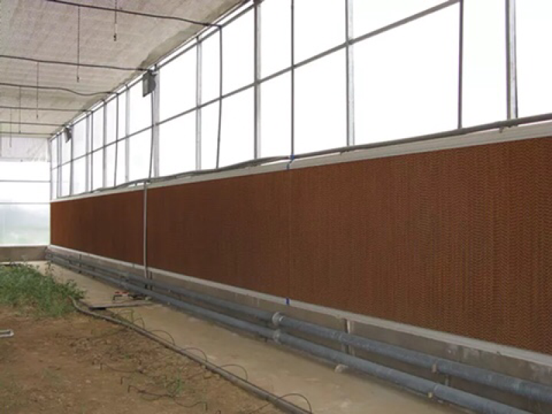 降温水帘种植养殖大棚降温通风专用排风扇