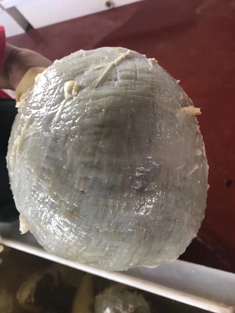 重庆火锅食材水发黑个子本色个子毛肚自助餐供应