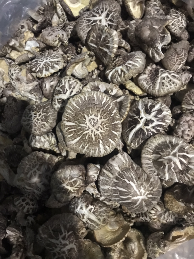 椴木香菇