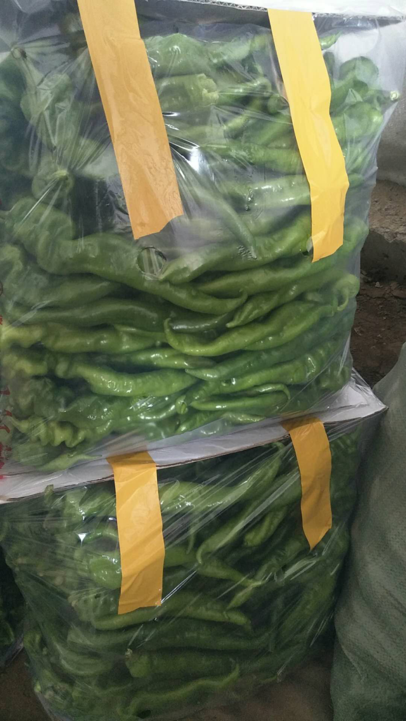 螺丝椒龙胜螺丝椒