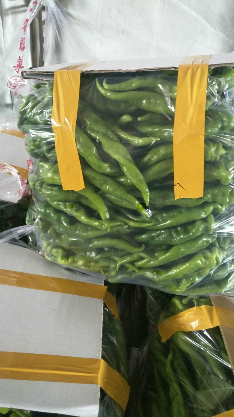 螺丝椒龙胜螺丝椒