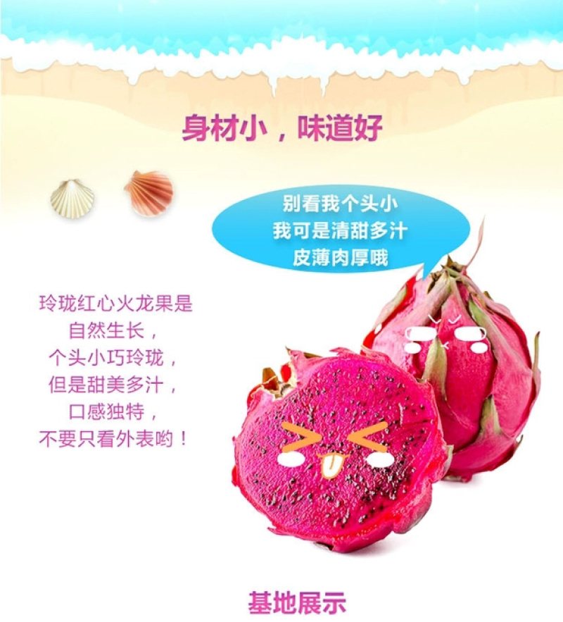 海南三亚红心火龙果金都一号支持代发