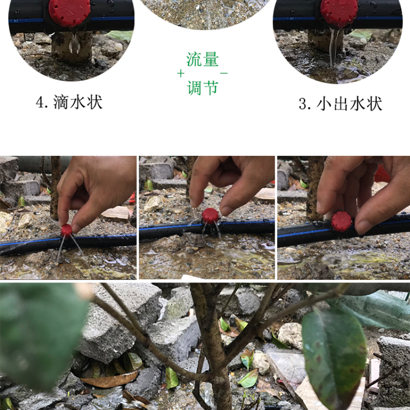 农用滴头248L压力补偿滴头稳流器果园果滴头(emi
