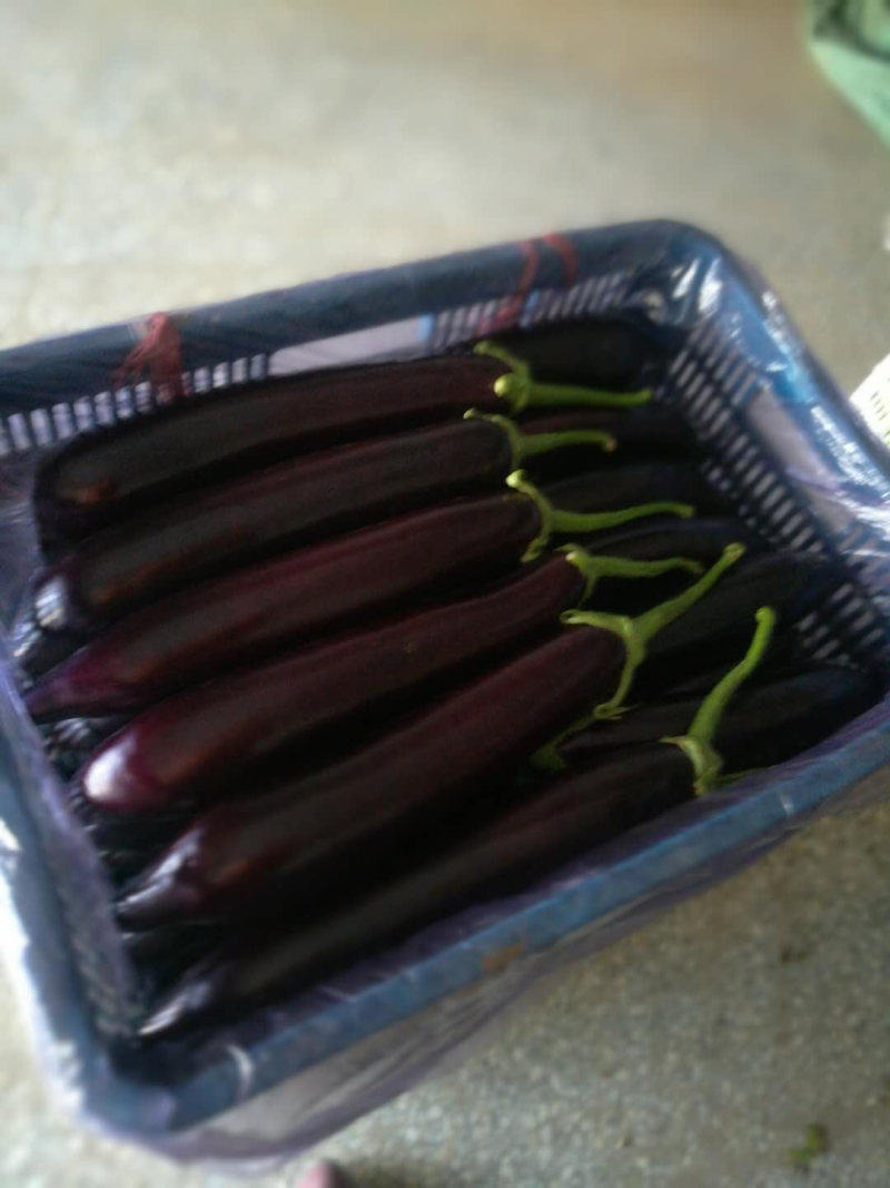 寿光精品765，货源充足，茄子好。