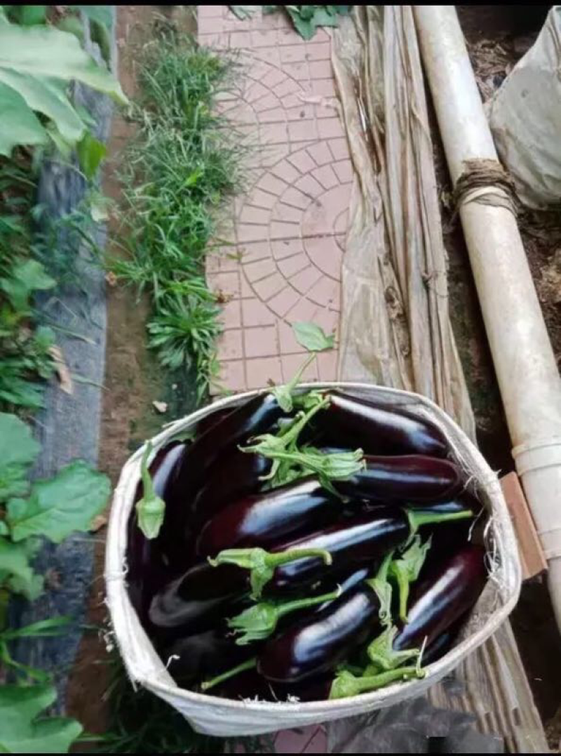 大量现货需要联系