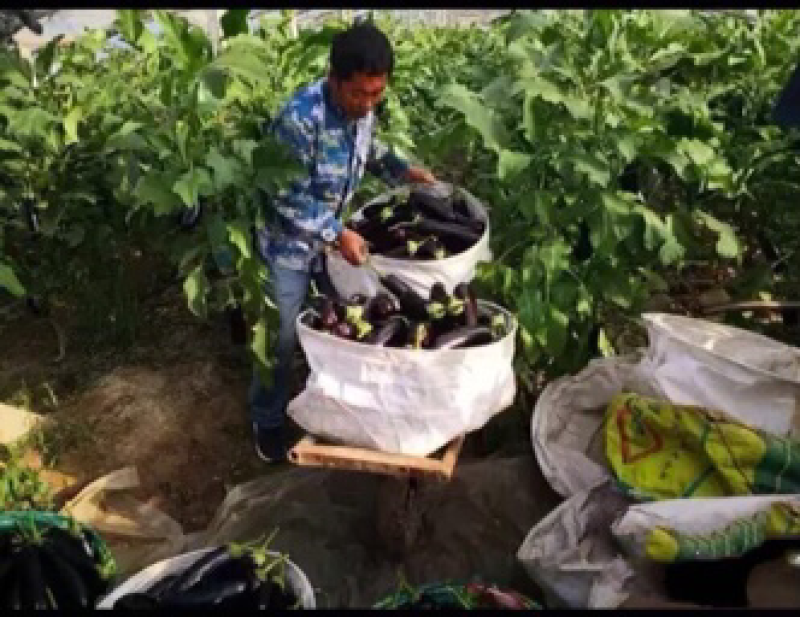 大量现货需要联系