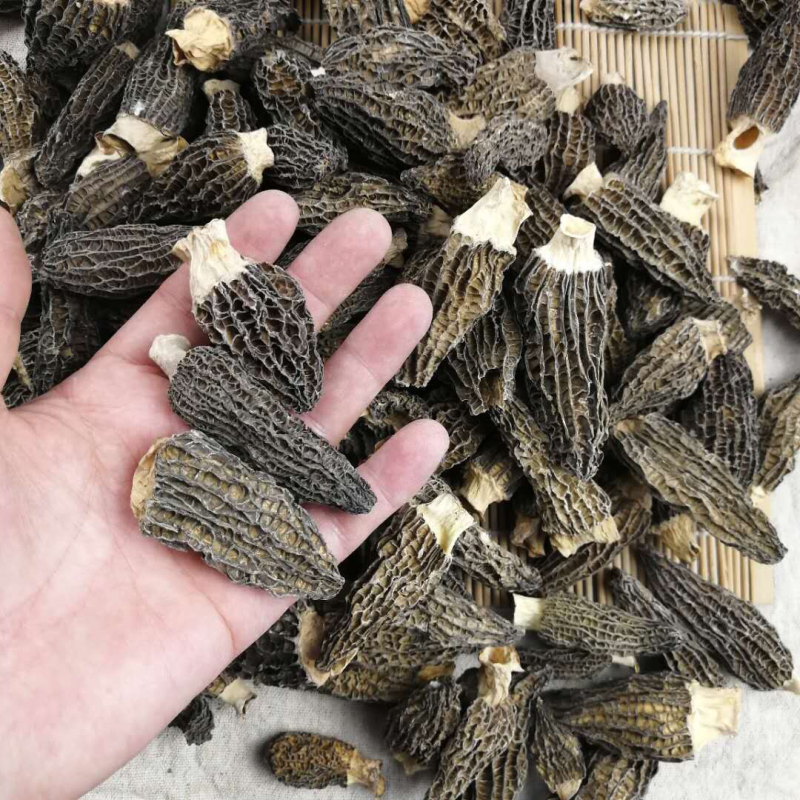 产地专业批发羊肚菌干货500克养殖食用菌特惠中大无脚鸟