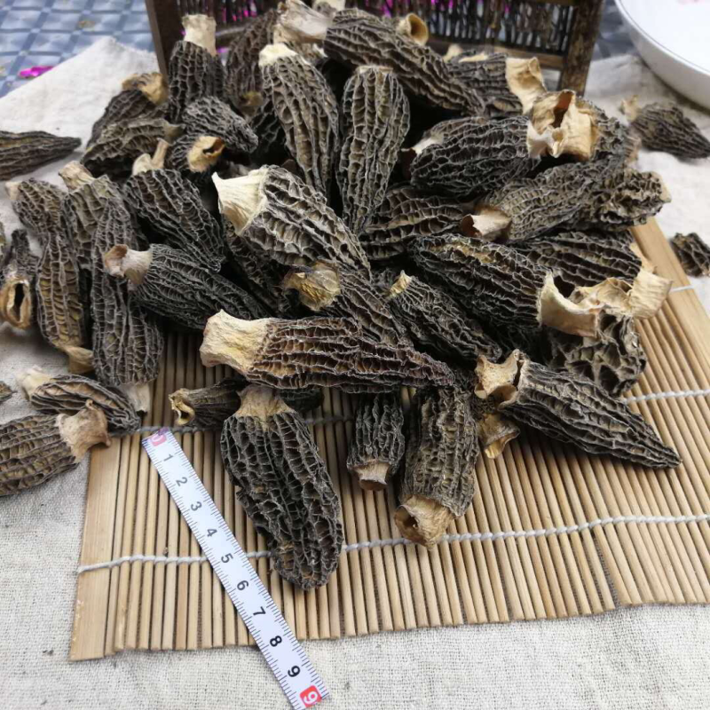 产地专业批发羊肚菌干货500克养殖食用菌特惠中大无脚鸟