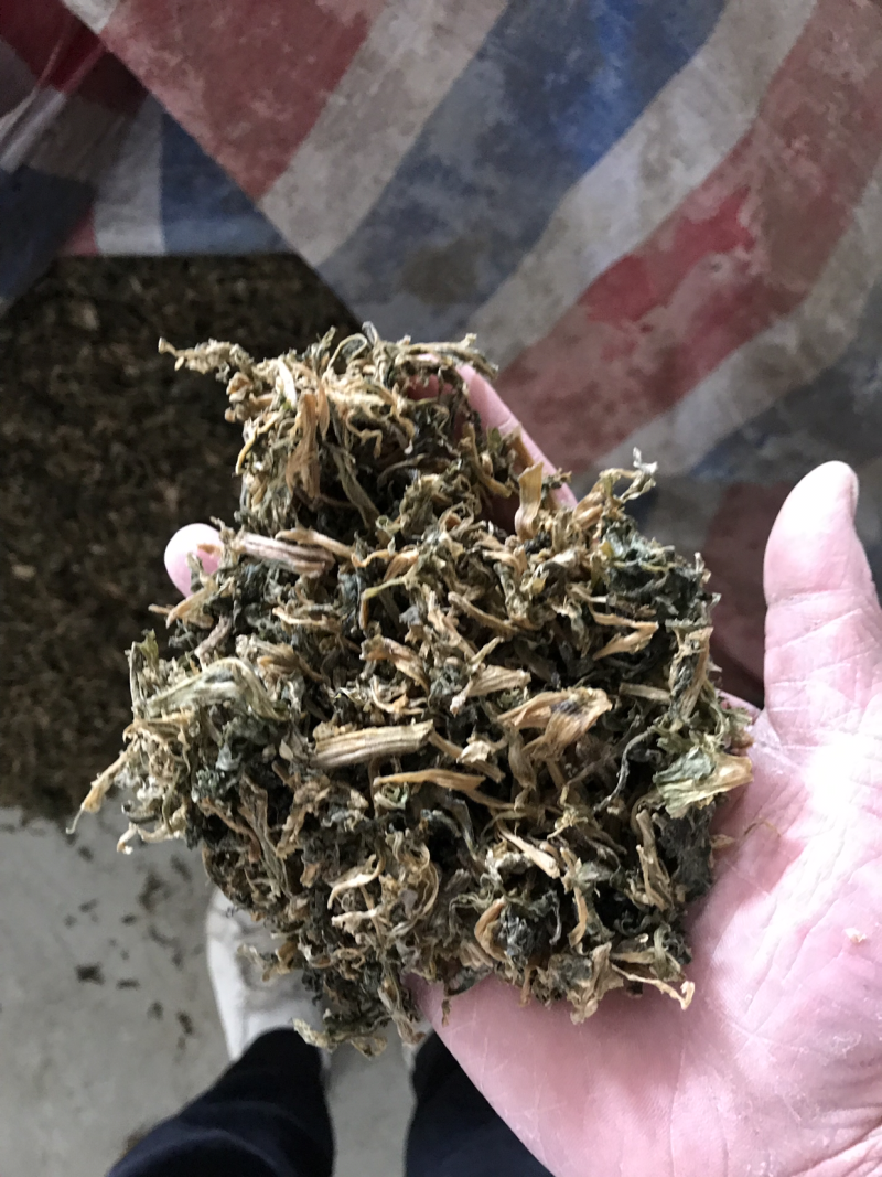 雪里红。梅干菜。