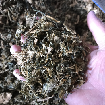 雪里红。梅干菜。