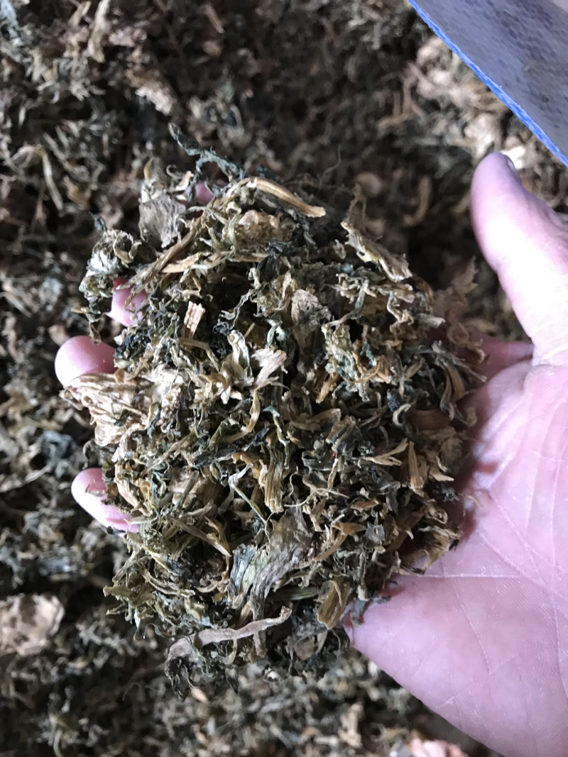 雪里红。梅干菜。
