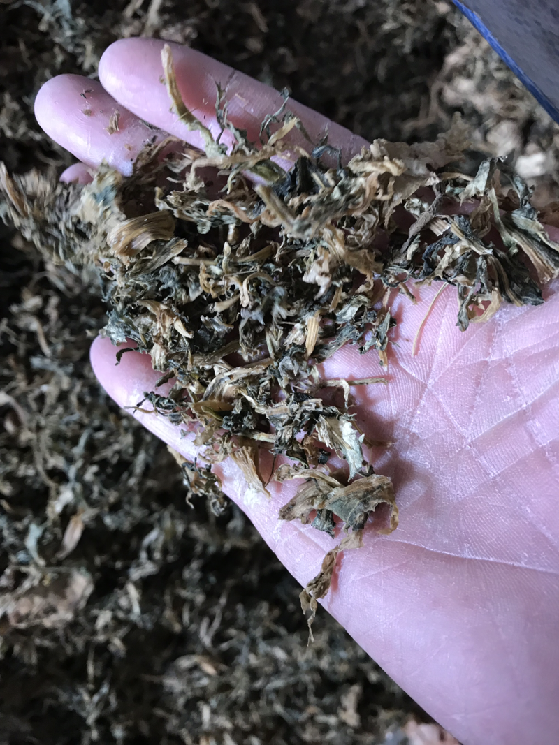 雪里红。梅干菜。
