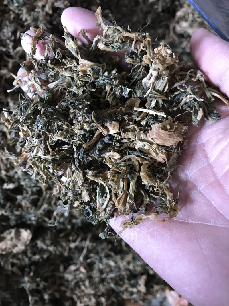 雪里红。梅干菜。