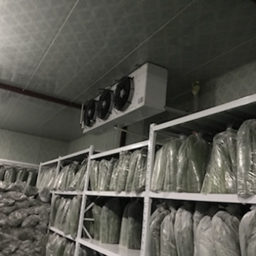 出租冷库实货1吨160，膨货1吨260