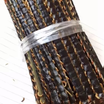 野生蜈蚣